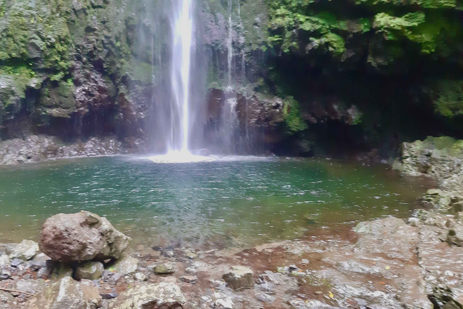 Мадейра: Лихорадка джунглей Левада Кальдейран Верде Поход Сантана