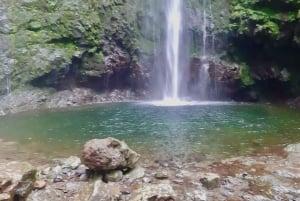 Madeira: Jungle Fever Levada Caldeirao Verde Hike Santana