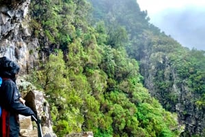 Madeira: Jungle Fever Levada Caldeirao Verde Hike Santana