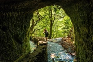 Madeira: Jungle Fever Levada Caldeirao Verde Hike Santana