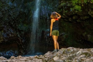 Madeira: Jungle Fever Levada Caldeirao Verde Hike Santana