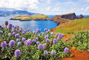 Madeira: Late East Tour with Pico do Areeiro Views