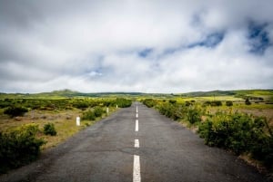 マデイラ島：自然のプールと崖を巡る西後期ツアー