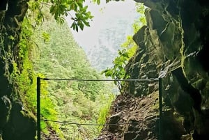 Madeira: Levada Caldeirão Verde Shared Transfer Self-Guided