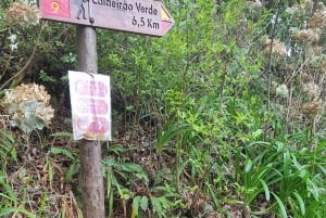 Madeira: Levada Caldeirão Verde Shared Transfer Self-Guided