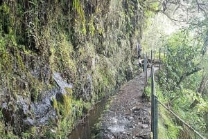 Madeira: Levada Caldeirão Verde Shared Transfer Self-Guided