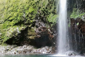 Madeira: Levada Caldeirão Verde Shared Transfer Self-Guided