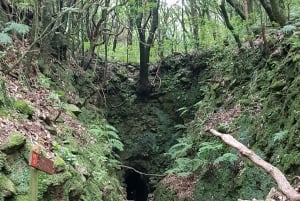 Madeira: Levada Caldeirão Verde Shared Transfer Self-Guided