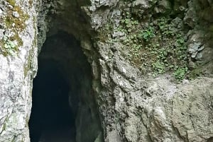 Madeira: Levada Caldeirão Verde Shared Transfer Self-Guided