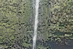 Madeira: Levada Caldeirão Verde Shared Transfer Self-Guided