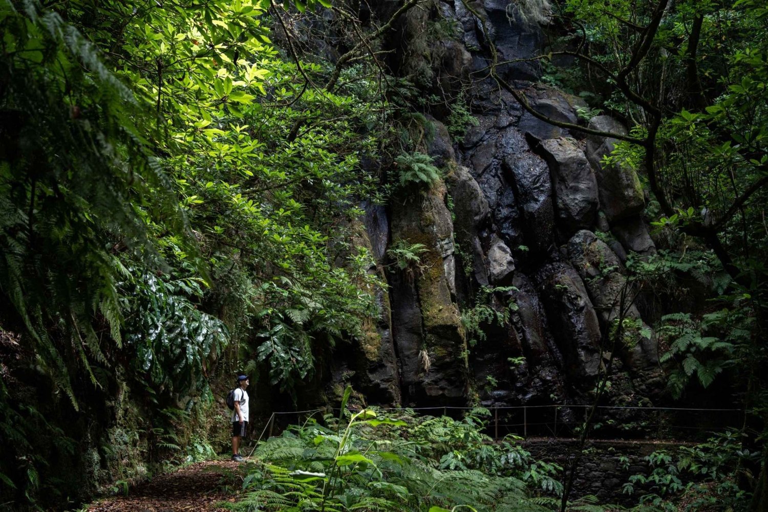 Madeira: PR 9 - Levada do Caldeirão Verde Hike Transfer