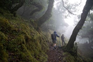 Madeira: PR 9 - Levada do Caldeirão Verde Wandeltransfer