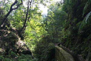 Madeira: PR 9 - Levada do Caldeirão Verde Wandeltransfer