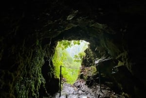 Madeira: PR 9 - Levada do Caldeirão Verde Wandeltransfer