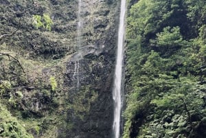 Madeira: PR 9 - Levada do Caldeirão Verde Wandeltransfer