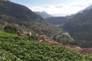 Madeira: Levada dos Maroços Hike