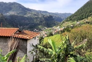 Madeira: Levada dos Maroços Hike