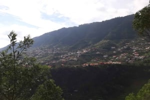 Madeira: Levada dos Maroços Hike