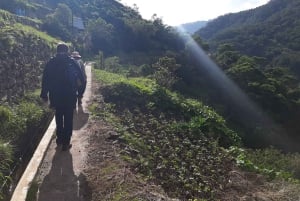 Madera: Wędrówka Levada dos Maroços