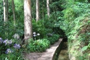 Madeira: Paseo panorámico por el valle del paraíso de Levada