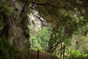 Madeira: Paseo panorámico por el valle del paraíso de Levada