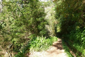 Madeira: Paseo panorámico por el valle del paraíso de Levada