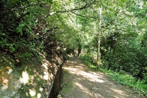 Madeira: Paseo panorámico por el valle del paraíso de Levada