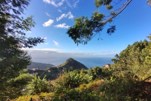 Madeira: Levada-stier med vann, mennesker og tradisjon