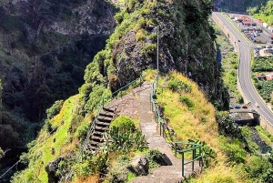 Madeira: Levada-stier med vann, mennesker og tradisjon