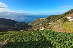 Madeira: Levada-stier med vann, mennesker og tradisjon