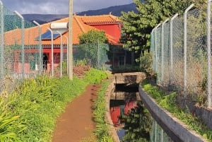 Madeira: Levada-stier med vann, mennesker og tradisjon