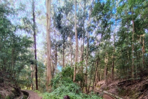 Madeira: Levada-stier med vann, mennesker og tradisjon