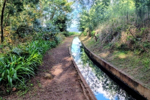 Madeira: Levada-stier med vann, mennesker og tradisjon