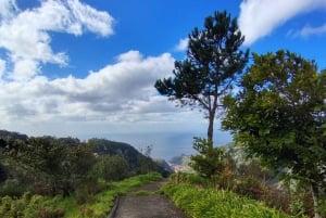 Madeira: Levada-stier med vann, mennesker og tradisjon