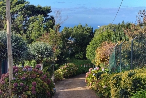 Madeira: Levada-stier med vann, mennesker og tradisjon