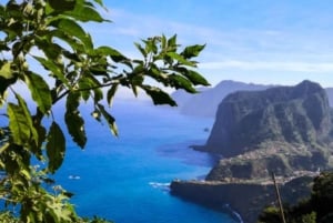 Madeira: Levada Referta – Castelejo Guided Walk