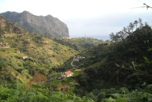 Madeira: Levada Referta – Castelejo Guided Walk
