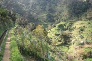 Madeira: Levada Referta – Castelejo Guided Walk