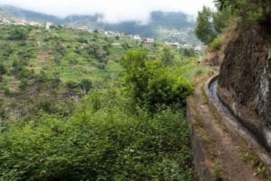 Madeira: Levada Referta – Castelejo Guided Walk
