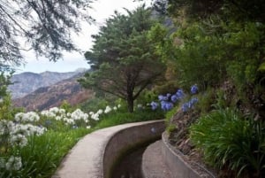 Madeira: Levada Referta – Castelejo Guided Walk