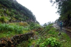 Madeira: Levada Referta – Castelejo Guided Walk