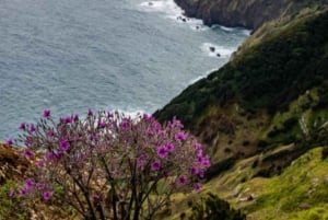 Madeira: Levada Referta – Castelejo Guided Walk