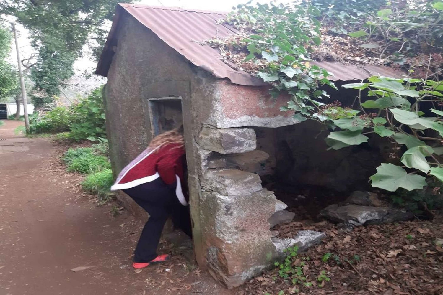 Madère : Marche privée de Levada Serra do Faial à Camacha