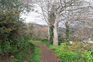 Madeira: Levada Serra do Faial to Camacha Private Walk