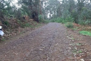 Madeira: Levada Serra do Faial to Camacha Private Walk