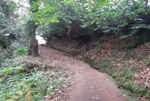 Madère : Marche privée de Levada Serra do Faial à Camacha