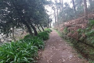 Madère : Marche privée de Levada Serra do Faial à Camacha