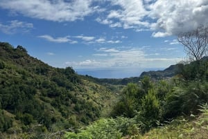 Madeira: Levada Walk and Santo da Serra Market Tour