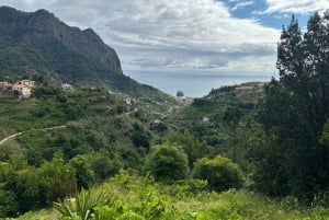 Madeira: Levada Walk and Santo da Serra Market Tour