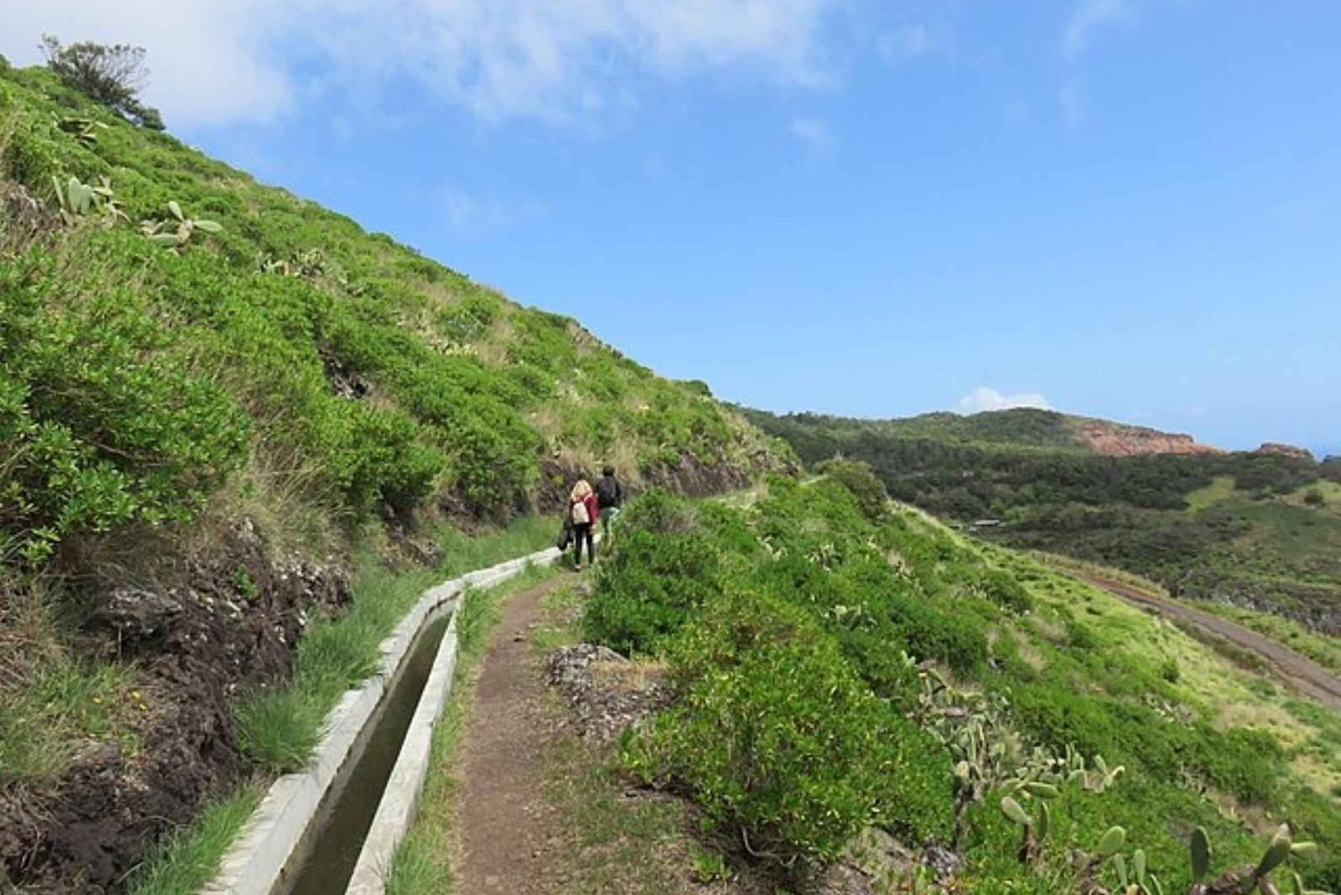 Promenade à Madère avec dégustation de poncha